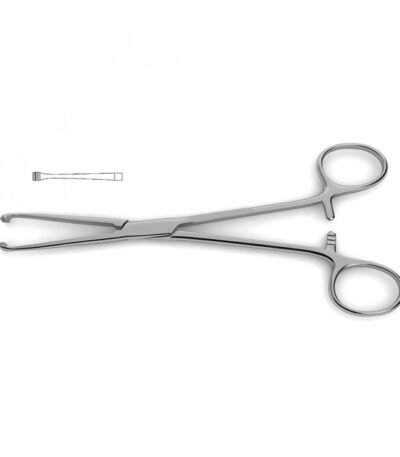 Allis Atraumatic Forceps - Surgi Right