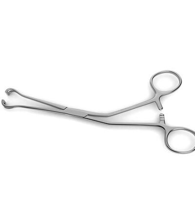 Babcock Tissue Forceps - Surgi Right