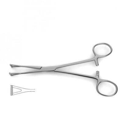 Collins Tissue Forceps - Surgi Right
