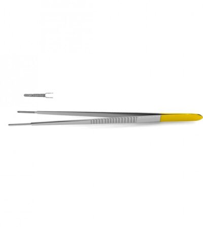 Evans Tissue Forceps - Surgi Right