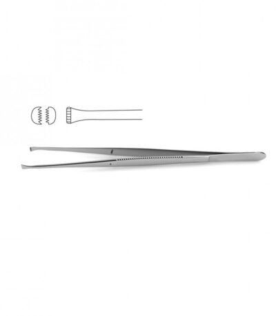 Nelson Tissue Forceps - Surgi Right