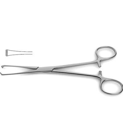 Thoms Allis Tissue Forceps - Surgi Right
