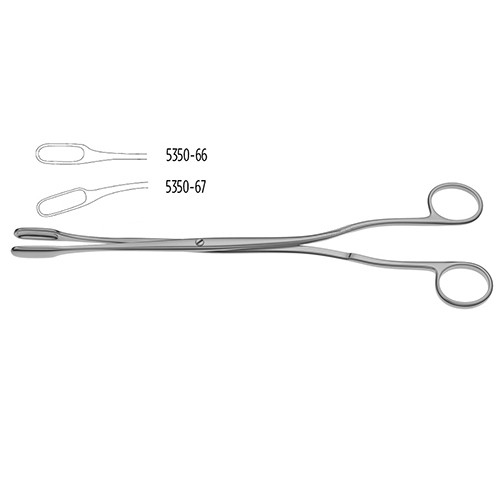 Winter Placenta Forceps - Surgi Right
